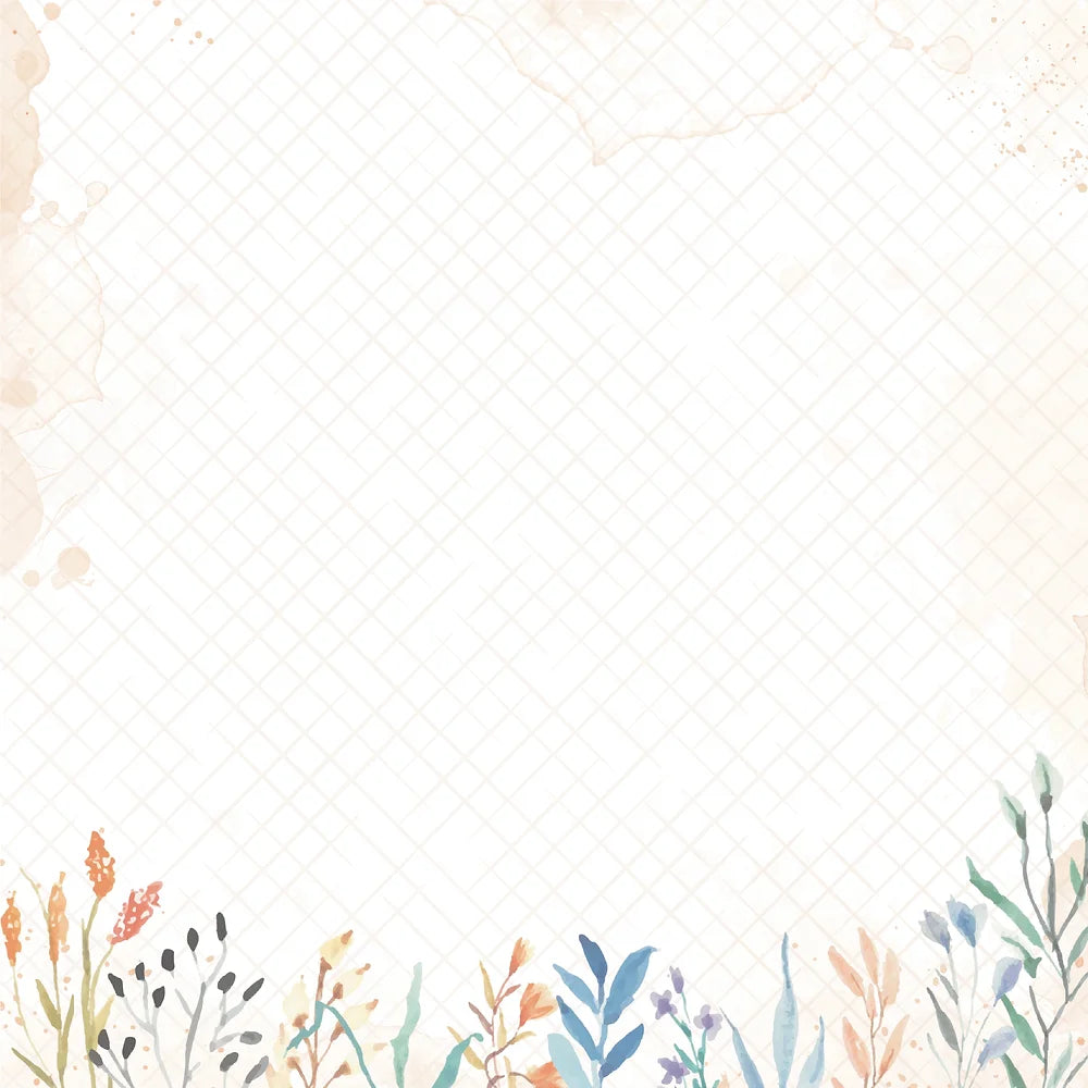 Paper - Bold and Basic I